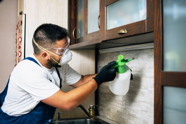 Best Pest Prevention Services  in Greenacres, CA