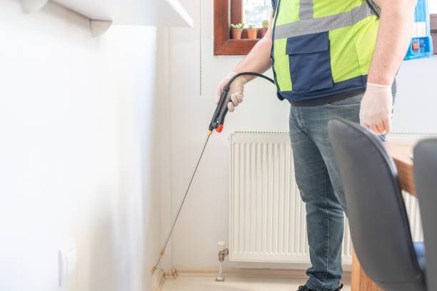 Best Wasp Removal Services  in Greenacres, CA
