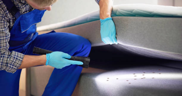 Reliable Greenacres, CA Pest Control Solutions