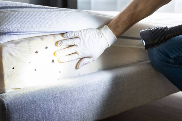 Best Emergency Pest Control  in Greenacres, CA