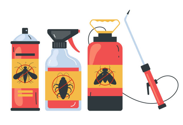 Best Spider Control Near Me  in Greenacres, CA